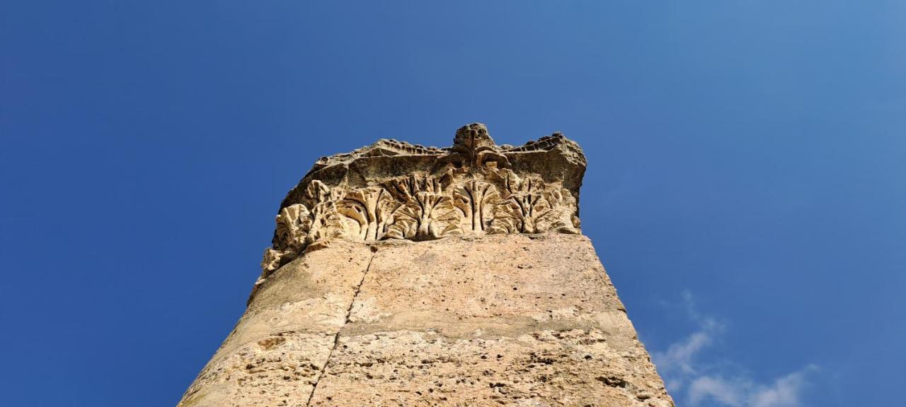 Cardostudio Hotel Jarash Exterior photo