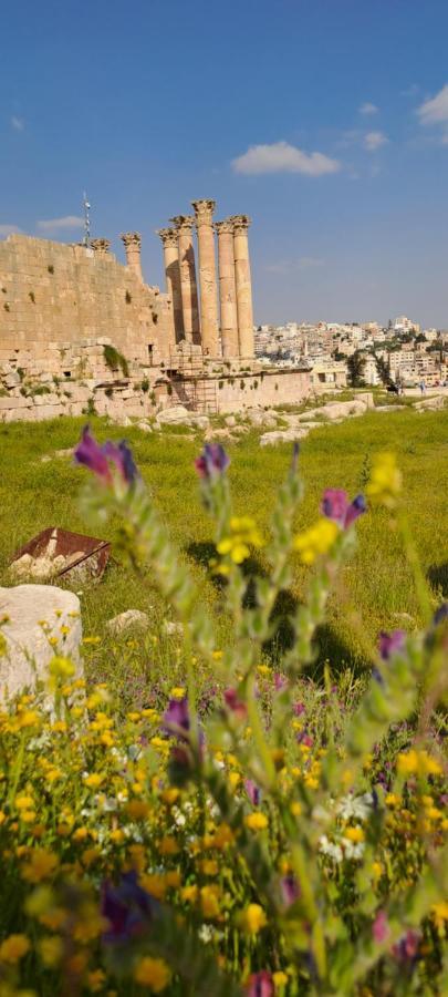Cardostudio Hotel Jarash Exterior photo